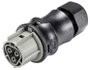 Wieland Electric 96.031.4154.3 Összekötő bélyegkép