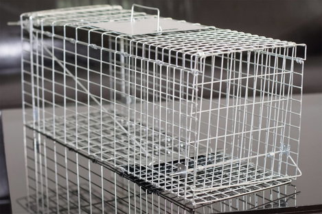 Élve elfogó nyest csapda Gardigo Live Marten Trap 3. kép