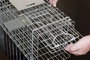 Élve elfogó nyest csapda Gardigo Live Marten Trap 7. bélyegkép