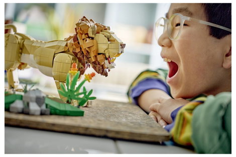 LEGO® CREATOR 31386 3 az 1-ben vadállat készlet: oroszlán, nőstény oroszlán vagy 2 oroszlánkölyök ép 4. kép