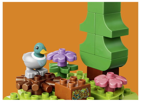 LEGO® DUPLO® 10480 Erdő vadállatokkal építőkészlet játszószőnyeggel, sündisznóval, kacsával, mókuss 11. kép