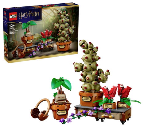 LEGO® HARRY POTTER™ 76474 Roxfort kastély™ Gyógynövények Játék- és Kiállítási Készlet 3. kép