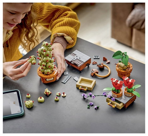 LEGO® HARRY POTTER™ 76474 Roxfort kastély™ Gyógynövények Játék- és Kiállítási Készlet 5. kép
