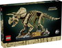 LEGO® MARVEL SUPER HEROES 77985 Jurassic World dinoszaurusz fosszíliák: Triceratops bélyegkép