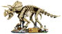 LEGO® MARVEL SUPER HEROES 77985 Jurassic World dinoszaurusz fosszíliák: Triceratops 5. bélyegkép