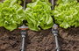 GARDENA Micro Drip rendszer 13207-20 Szabályozó-/záró szelep 13 mm (1/2) Ø 5. bélyegkép