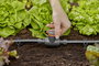 GARDENA Micro Drip rendszer 13207-20 Szabályozó-/záró szelep 13 mm (1/2) Ø 8. bélyegkép