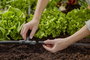 GARDENA Micro Drip rendszer 13201-20 T idom 13 mm (1/2) Ø 3. bélyegkép
