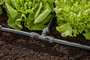 GARDENA Micro Drip rendszer 13201-20 T idom 13 mm (1/2) Ø 5. bélyegkép