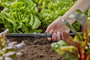GARDENA Micro Drip rendszer 13203-20 Összekötő 13 mm (1/2) Ø 4. bélyegkép