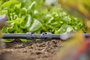 GARDENA Micro Drip rendszer 13203-20 Összekötő 13 mm (1/2) Ø 5. bélyegkép