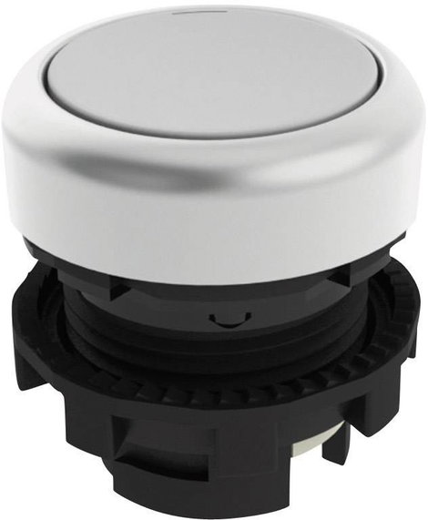 Nyomógomb Fehér Pizzato Elettrica E21PU2R2290 1 db