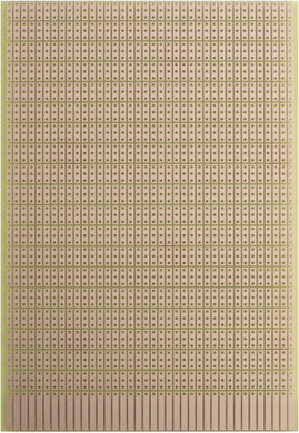 Rademacher WR-Typ 946 Vizsgálópanel Keménypapír (H x Sz) 160 mm x 100 mm 35 µm Raszterméret 2.54 mm 