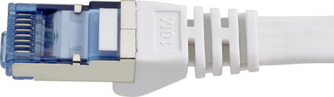 RJ45 Patch kábel, hálózati LAN kábel, hajlékony, tűzálló CAT 6A S/FTP 10 m szürke, Renkforce 2. kép