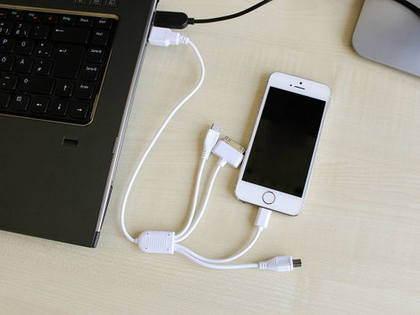 Apple iPhone USB töltőkábel, adatkábel (30 pólusú, Lightning, Mini B, Micro B csatlakozókkal) Eufab 3. kép
