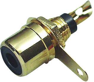 RCA aljzat, előlapba építhető, arany, Tru Components