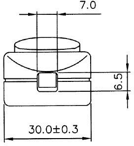 Zsinórkapcsoló, WS, R13-901 (1910001), Tru Components 1587934 3. kép