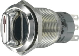 Vandálbiztos nyomókapcsoló, Tru Components ER LAS1-AGQ-11X/21