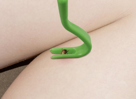 Kullancskiszedő csipesz készlet, zöld, Gardigo Tick Remover 6. kép