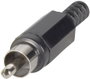 BKL Electronic 072138/T RCA csatlakozó Dugó, egyenes Pólusszám: 2 Piros 1 db bélyegkép