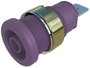 Bepréselős aljzat, ibolya SEB 2610 4 MM bélyegkép