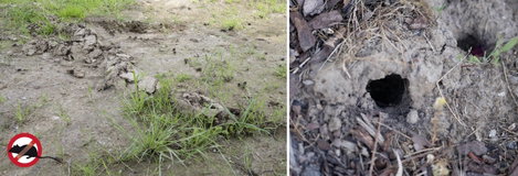 Napelemes vakondriasztó 700 m² Gardigo Diamant 4. kép