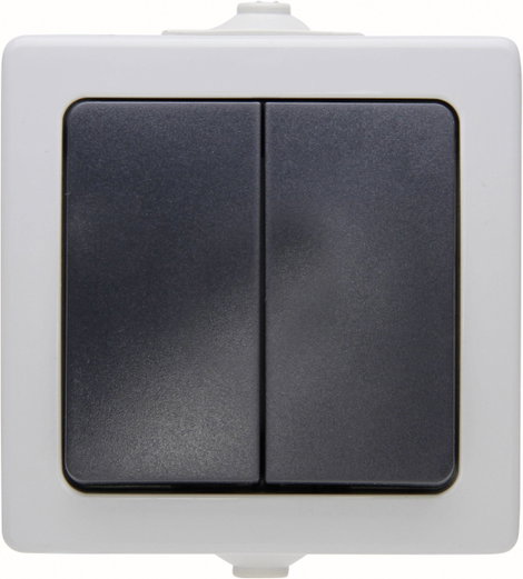 Kültéri dupla falikapcsoló 230V/10A IP 44 védett, szürke, Kopp 565556008