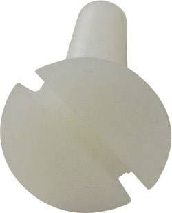 Toolcraft süllyesztett fejű, egyenes hornyú műanyag csavar, M4 x 20 mm, DIN 963, 10 db