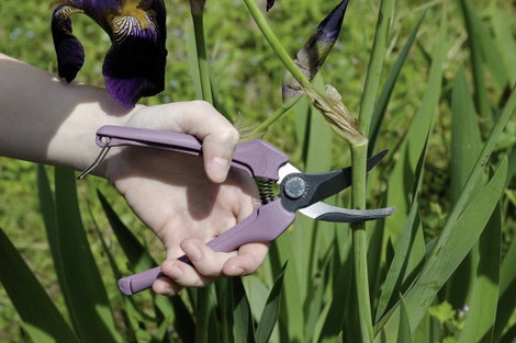 Metszőolló Bahco P123-LILAC-B6 2. kép