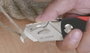 Linóleum penge Bessey DBK-L 4 4. bélyegkép