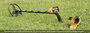 Garrett Euro ACE fémkereső készlet, 150 cm, 99616 11. bélyegkép