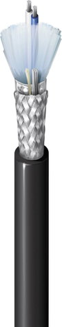 Belden Adatkábel 2 x 0.36 mm² Fekete 3105A.00152 méteráru bélyegkép