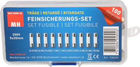 Max Hauri AG 135395 Üvegcsöves biztosíték készlet (Ø x H) 5 mm x 20 mm Lomha -T- Tartalom 100 db 2. kép