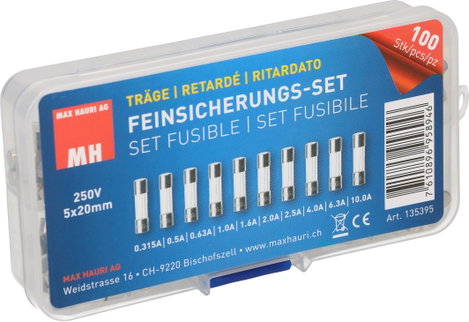 Max Hauri AG 135395 Üvegcsöves biztosíték készlet (Ø x H) 5 mm x 20 mm Lomha -T- Tartalom 100 db 4. kép
