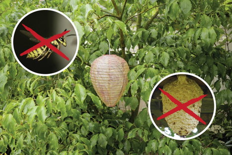Ál darázsfészek Ø 200 x 280 mm 2 db Gardigo Wasp Nest Dummy 666612 7. kép