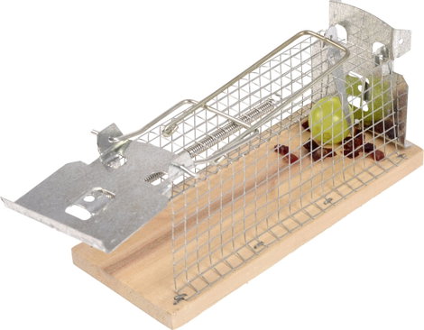 Élve elfogó egércsapda Gardigo Live Mouse Trap 62351 4. kép