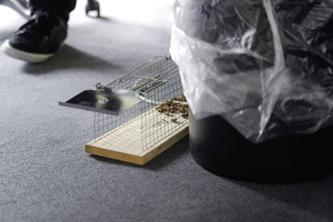 Élve elfogó patkánycsapda Gardigo Live Rat Trap 62352 5. kép