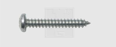 SWG Lemezcsavar 2.9 mm 13 mm Kereszthornyú Philips DIN 7981 Acél Cinkezett 100 db