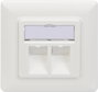 Digitus DN-93801-1 Keystone tartó 2-szeres Fehér 4. bélyegkép