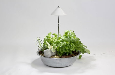 Venso LED növény lámpa SUNLiTE 230 V Fixen beépített LED-es 7 W Semleges fehér 1 db