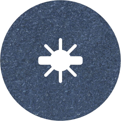 Bosch Accessories 2608619160 Bosch Power Tools Ø 125 mm Furat átmérő 22.23 mm 1 db