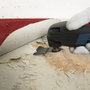 Bosch Accessories 2609256947 AIZ 32 EC HCS Merülő fűrészlap 32 mm 1 db 3. bélyegkép