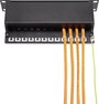 Renkforce RF-3521390 10 coll Hálózati szekrény előlap Fekete 4. bélyegkép