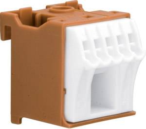 Hager KN06P Kapocstömb Barna, Fehér 6 pólusú 63 A 230 V