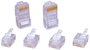 TRU COMPONENTS Western RJ 10 csatlakozó 7712844 Dugó, egyenes Pólusszám 4P4C 1 db bélyegkép