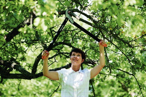 Fiskars PowerGear II 70 cm L77 1000583 Ágvágó Amboss 2. kép
