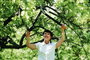 Fiskars PowerGear II 70 cm L77 1000583 Ágvágó Amboss 2. bélyegkép