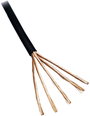 BKL Electronic 1106007/5 Audio vezeték 4 x 0.10 mm² Fekete 5 m bélyegkép
