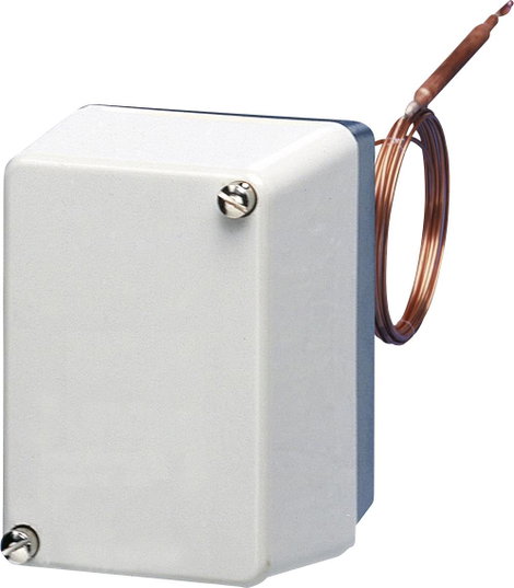 Jumo 60000962 Hőmérséklet felügyelő