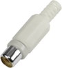 BKL Electronic 1108014 RCA csatlakozó Alj, egyenes Pólusszám: 2 Fehér 1 db bélyegkép